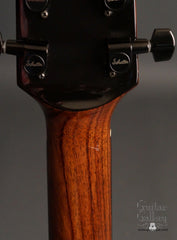 Langejans BR-6 guitar neck