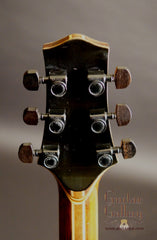 Leach Saratoga Guitar