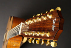 Taylor 12 string guitar