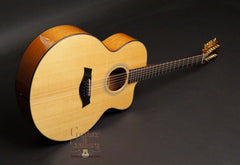 Taylor Leo Kottke 12 string guitar