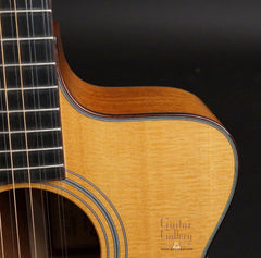 Taylor Leo Kottke 12 string guitar