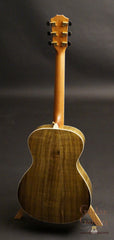 Taylor Liberty Tree Guitar tulip poplar back