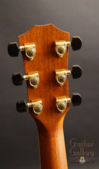 Taylor Liberty Tree Limited Edition Guitar