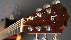 Lichty Guitar: 2012 OM Brazilian Rosewood