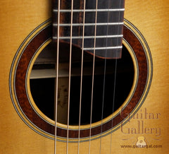 Lichty Guitar: 2012 OM Brazilian Rosewood