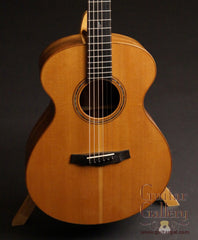 Laurie Williams Kiwi Guitar for sale
