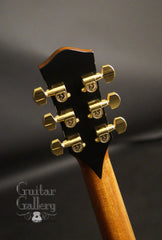McPherson guitar headstock backplate
