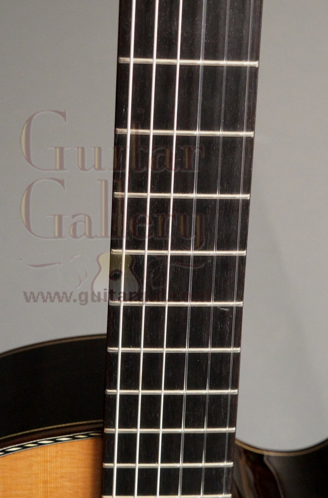 Maingard Guitar: African Blackwood CrossOver Nylon String – Guitar Gallery