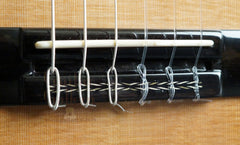 Maingard Guitar: African Blackwood CrossOver Nylon String