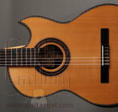 Maingard Guitar: African Blackwood CrossOver Nylon String