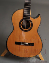 Maingard Guitar: African Blackwood CrossOver Nylon String