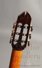 Maingard Guitar: African Blackwood CrossOver Nylon String