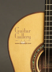 MANZER Guitar: Used Indian Rosewood Steel String