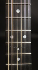 Martin D12-28 guitar fretboard
