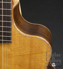 McPherson MG5.0-XP guitar cutaway