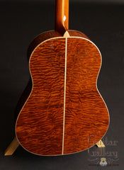 McCollum D Sapele Guitar