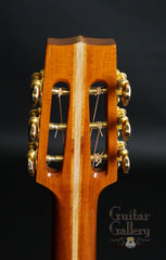 McCollum D Sapele Guitar