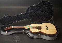 McKnight guitar inside case