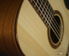 McKnight Lowlander Guitar details