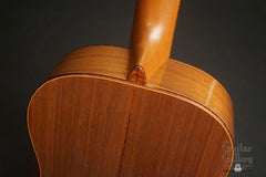 McKnight Lowlander Guitar snakewood heel cap