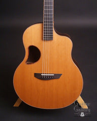 used McPherson 4.5 Ebony guitar at Guitar Gallery