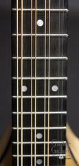 Moon Master Octave Mandolin fretboard