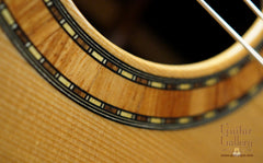 Rodrigo Moreira Guitar rosette