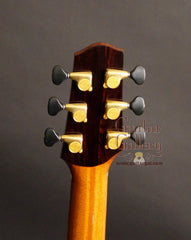 Mustapick guitar headstock back