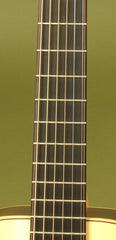 RS Muth S14 guitar fretboard