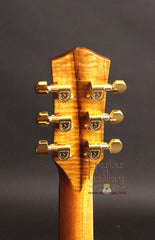 McPherson guitar headstock