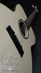 NK Forster Guitar top