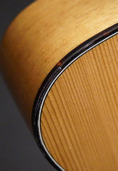 NK Forster tenor guitar detail