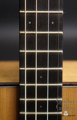 NK Forster tenor guitar fretboard