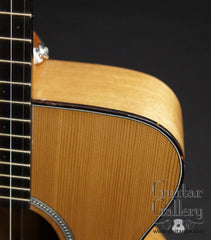 NK Forster tenor guitar upper bout