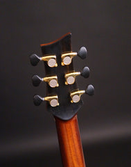 Noemi guitar headstock back plate