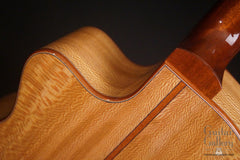 Noemi guitar back cutaway detail