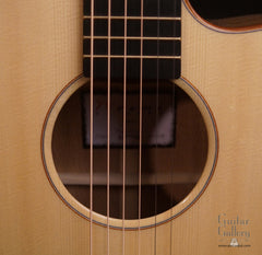 Noemi guitar rosette