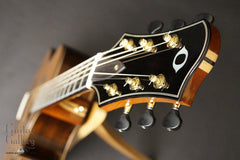 Olson SJ headstock