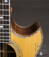 Olson guitar cutaway