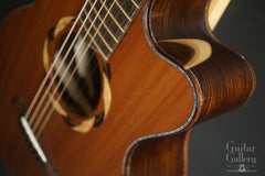 Osthoff FS-12 guitar cutaway