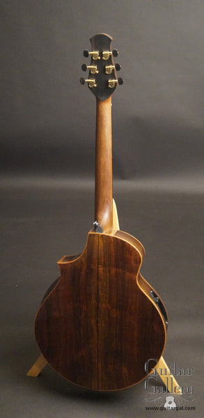 Ithaca Stringed Instruments: The Oneida – Guitar Gallery