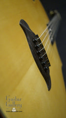 The Oneida guitar for sale