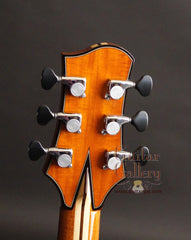 Olson guitar