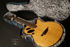 Schwartz Oracle guitar inside case