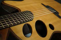 Schwartz Oracle guitar 3 sound holes
