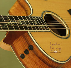 Taylor Guitar: Used Koa PSGA Koa