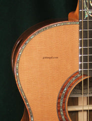 Applegate Guitar: Brazilian Rosewood Dream Series #5 SJ