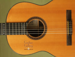 Martin Guitar: Used Brazilian Rosewood N-20WNB