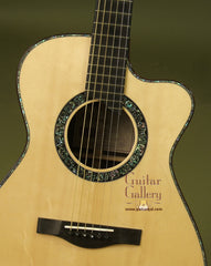 Kathy Wingert Guitar: Used Brazilian Roseood Elitie Dream Series