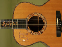 Olson Guitar: Brazilian Rosewood Brazilian Rosewood SJ